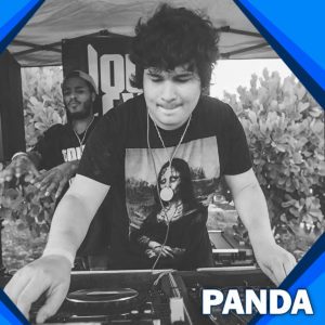 panda
